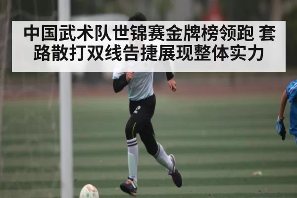中国武术队世锦赛金牌榜领跑 套路散打双线告捷展现整体实力